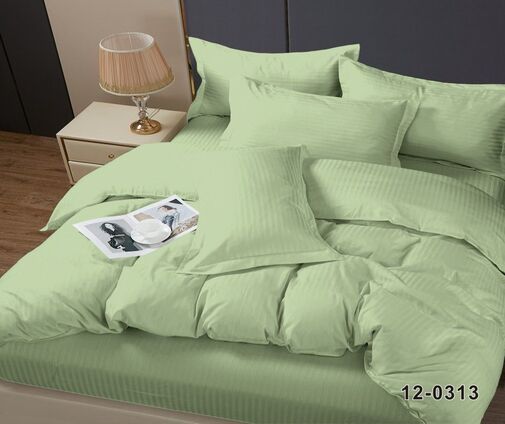 КПБ  микрофибра-страйп Pandora<№12-0313 Фисташка>