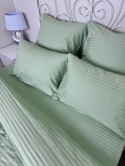 КПБ страйп-сатин однотонный Графитовая коллекция Реноме<Ss-005 Олива>