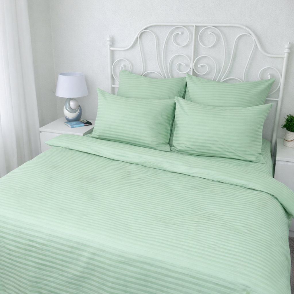 КПБ страйп-сатин однотонный Графитовая коллекция Реноме<Ss-005 Олива>